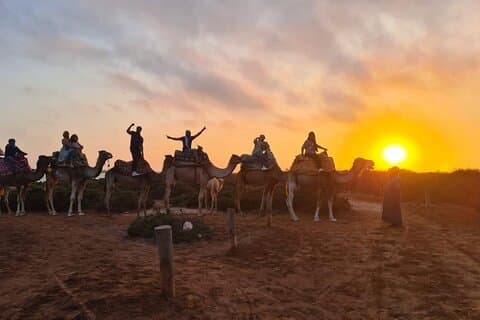 Agadir Sunset Camel Ride med marokkansk grill og hoteltransport