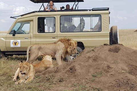 Excursão de Safari de 5 Dias em Serengeti e Ngorongoro