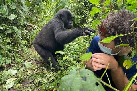Perla de África de precio moderado de 12 días: safari privado en Uganda