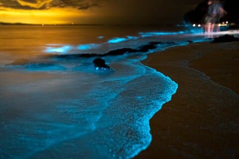 Phuket: Phang Nga Bay bioluminescente plankton- en zeekanotocht