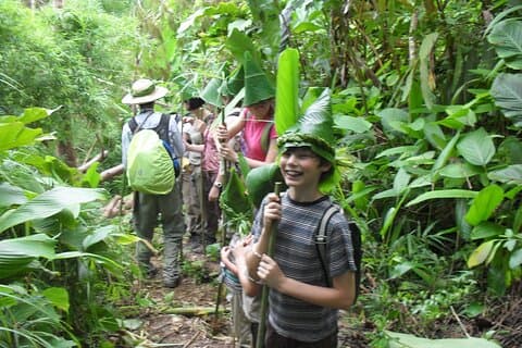 Chiang Rai: Trekking & bamboo cooking Tour