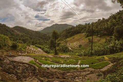 Knuckles Spice Trail Trek from Kandy