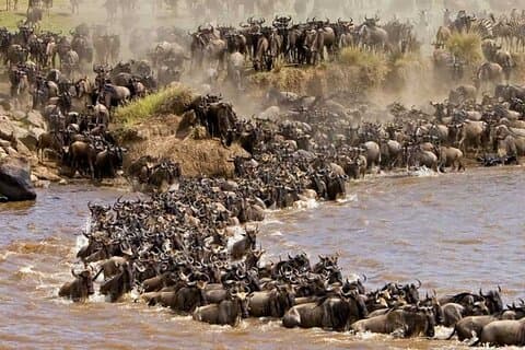 Excursão de 6 dias para grupos pequenos no safari de acampamento