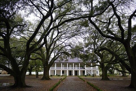 Whitney Plantation Tour with Transportation