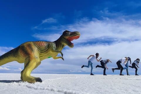 英語を話すガイドと一緒に塩湖と色鮮やかなラグーンを巡る3日間の冒険