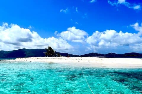 Private Snorkel & Sailing Tour-Norman Island,Caves & The Indians