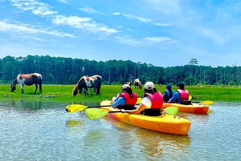 Chincoteague's Kayak Tour around the Islands