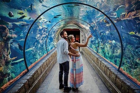 Shark Reef på Mandalay Bay Hotel and Casino