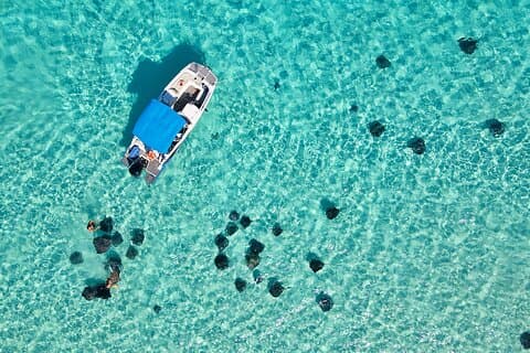 Sunrise at Stingray City, Private Tour