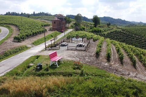 Private tasting of Monferrato wines with visit to the cellar