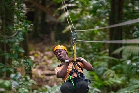 Halvdags vandreeventyr med Aerial Tram & Zipline i St. Lucia