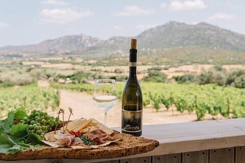 Gallura Winery med vinsmagning i Olbia