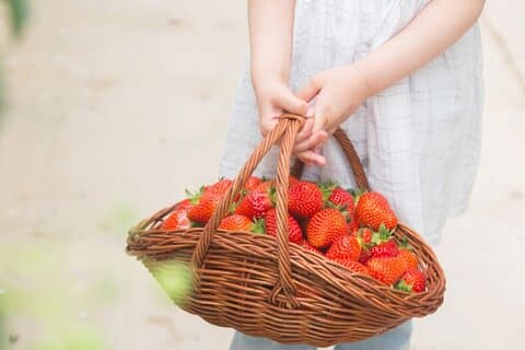 Atividade Ganghwado + Ginseng/Strawbessy Experience Day Tour