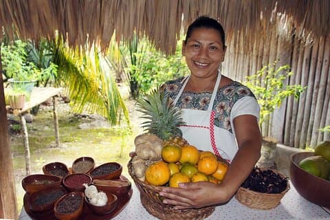 Chacchoben Mayan Ruins and Mayan Experience Combo Tour