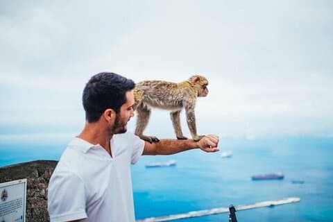 Depuis Malaga, excursion à Gibraltar avec transport