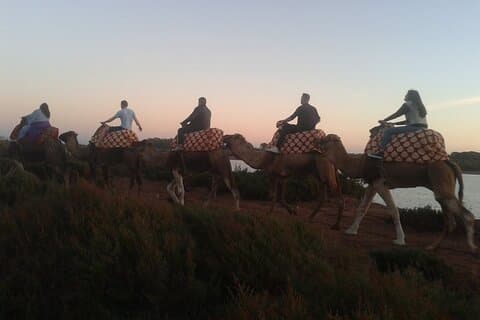 Camel Barbacoa Atardecer Agadir ciudad