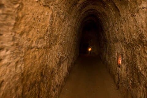 Cu Chi Tunnels Discovery Shore Excursion from Phu My Port