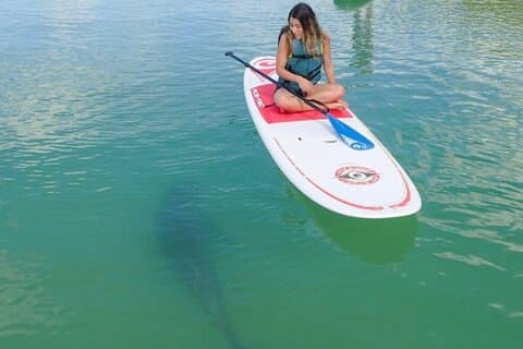Kajak- en SUP-verhuur - Big Hickory Island - Fort Myers Beach, FL