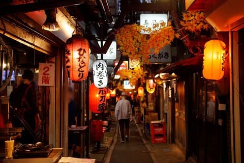 De donkere kant van Tokio - Nachtwandeling Shinjuku Kabukicho
