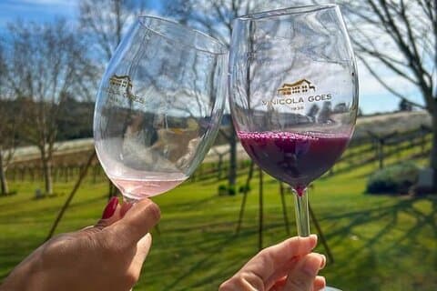 Flavours DE São Roque. DE tasting fine and sparkling wines
