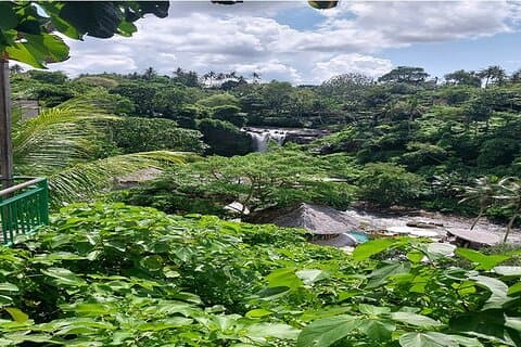 Full Day Ubud Tour