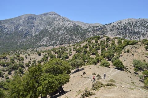 Private Trekking Rouvas Gorge
