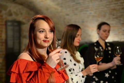 Bratislava Wine Tasting Experience Tour With a Local Sommelier