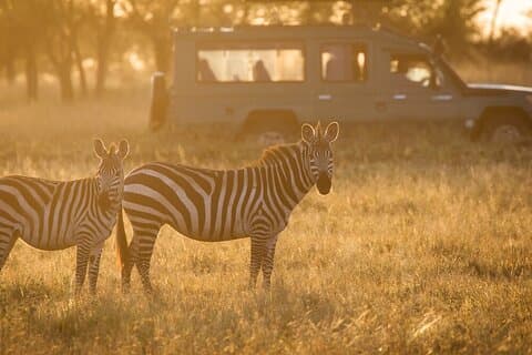 4-dagars Serengeti, Ngorongoro och Lake Manyara Budget Tour
