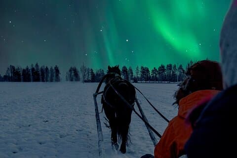 Pferdeschlittenfahrt unter dem Nachthimmel im Apukka Resort, Rovaniemi