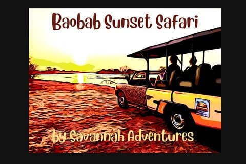Baobab-Sunrise-Sunset-Vulture-Moonlight Safaris, 6 Options D-F-ES