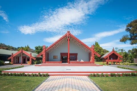 From Auckland : Rotorua Tepuia Tour with Haka and Hangi Lunch
