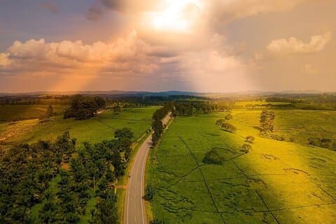 8-dagers privat dyrelivstur i Uganda