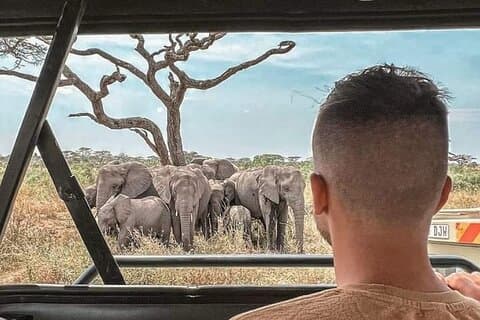 2 dages safari til Tarangire, Ngorongoro-krateret og Snake Park