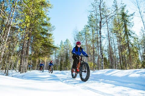 Tour eFatbike d'hiver dans la forêt enneigée de Rovaniemi Apukka Resort
