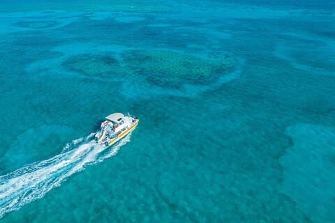 Afternoon Half Day Cruise from Providenciales with Snorkeling and Iguana Island