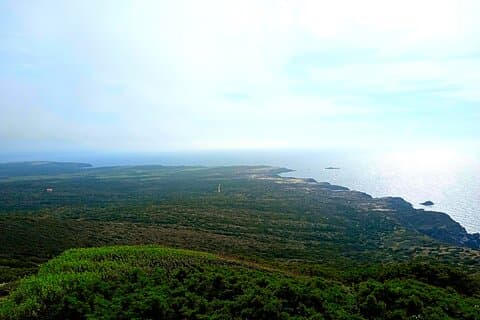 Stintino Trekking Tour privado a Capo Falcone