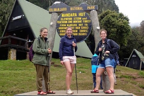 Full Day Hiking Tour to Mandara Hut in Kilimanjaro