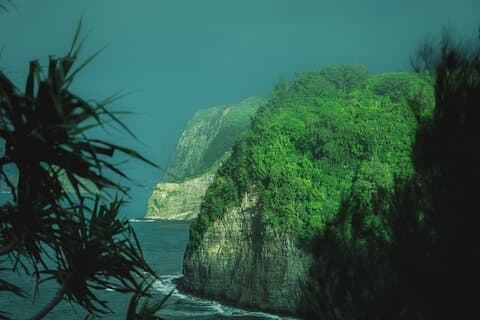 Privat guidet vandre- og fotografioplevelse på Hawaii