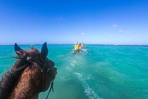Ridning og River Tubing Combo fra Montego Bay