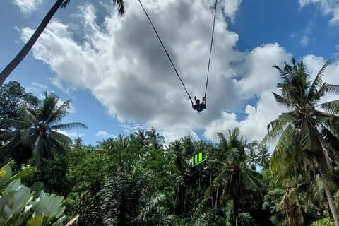 Private Ganztagestour mit Bali Swing und Wasserrafting in Ubud