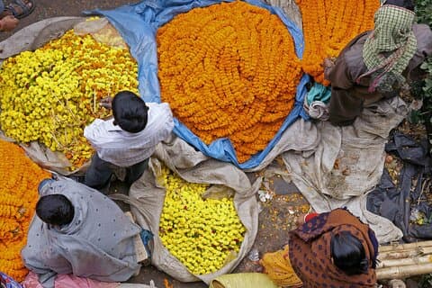Excursion d'une demi-journée au marché aux fleurs et au pont Howrah à Kolkata