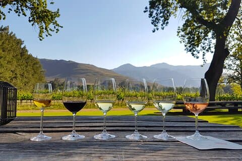 Heldags Cape Town privat hostet vinsmagningsoplevelse