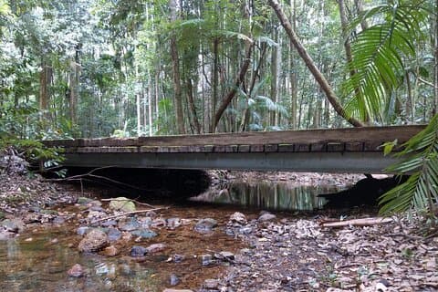 Port Macquarie Scenic Tour til området Hastings Hinterland