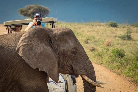 3 Días Tarangire| Cráter de Ngorongoro y lago Manyara