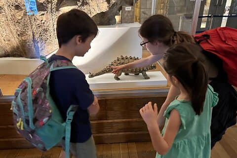 Visite guidée privée du musée d'histoire naturelle et des dinosaures adapté aux enfants à Londres