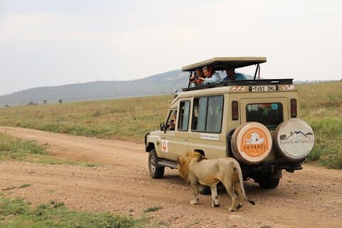 4-Day Private Safari Tour in Tanzania with Guide