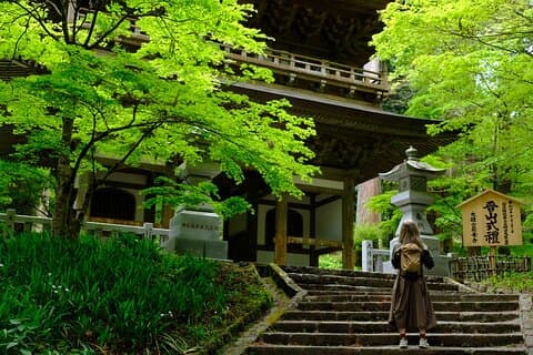 Forest Bathing in Temple and Enjoy onsen with healing power