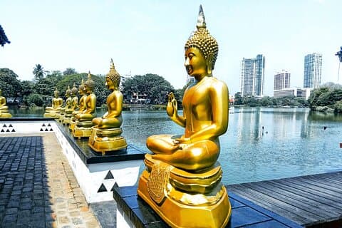 Colombo City til Colombo Lufthavn Afgangstransfer