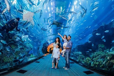 In cima, Burj Khalifa + Dubai Aquarium