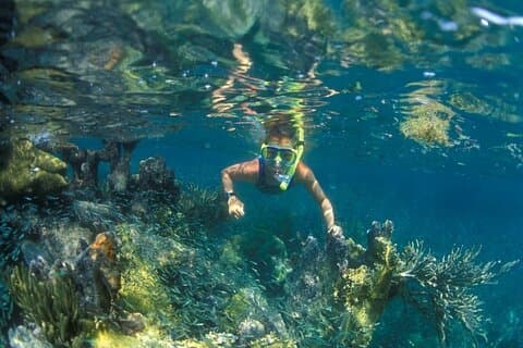Cham Island Snorkelen - Prachtig strand - Dagelijkse speedboottour
